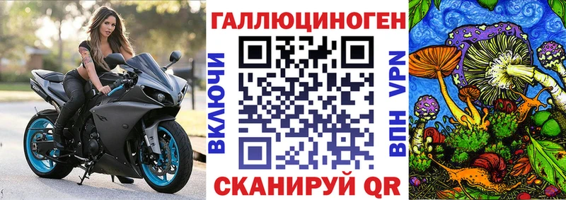 Псилоцибиновые грибы Cubensis Рубцовск
