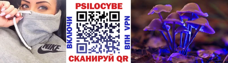 цена   Рубцовск  Псилоцибиновые грибы прущие грибы 