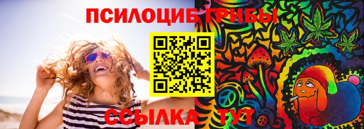 Рубцовск  Псилоцибиновые грибы Cubensis  Вход с VPN 